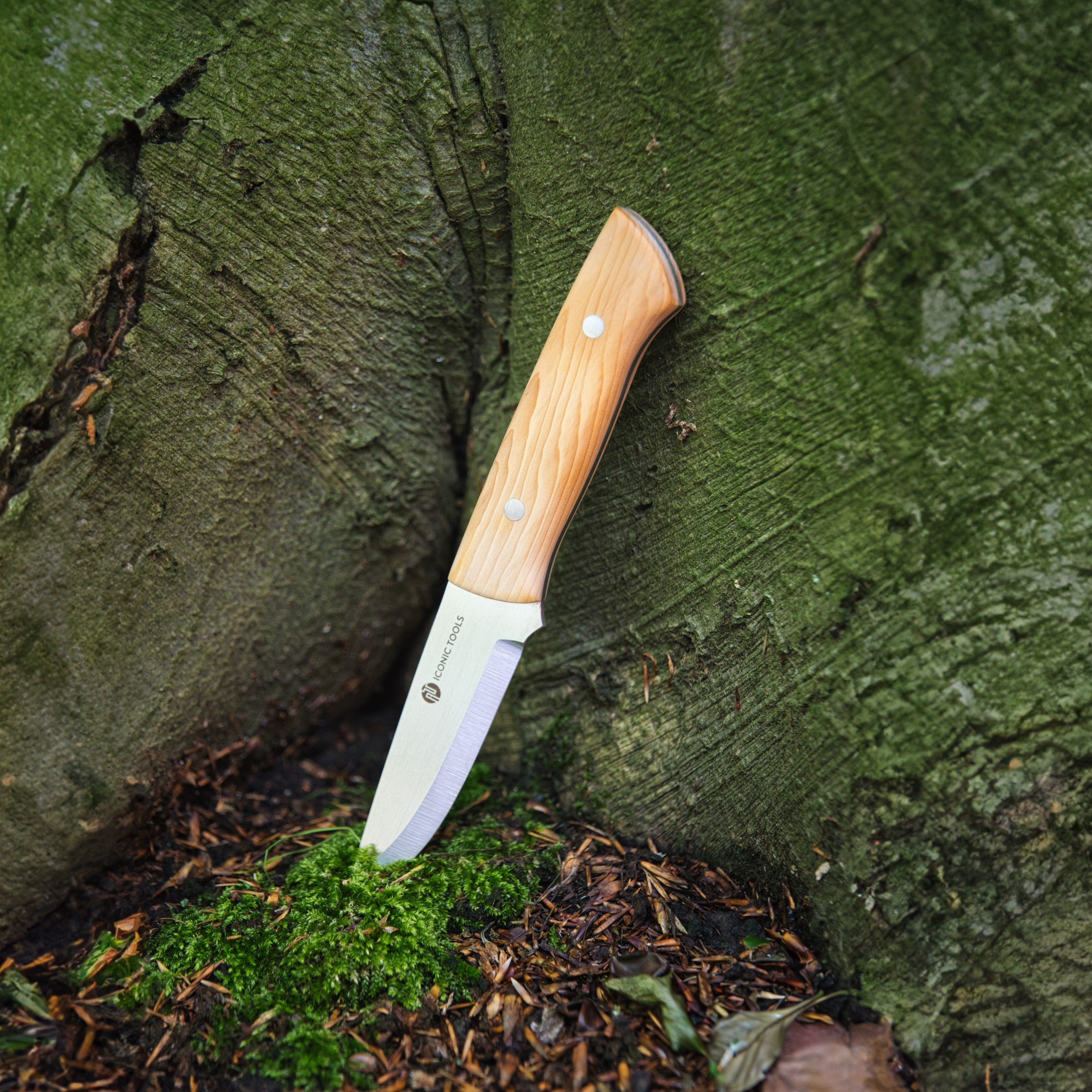 Das Outdoormesser "Cura" - ein Symbol für Qualität und Verlässlichkeit, lehnt sich in diesem eindrucksvollen Bild an einen majestätischen Baum. Das "Cura" Messer strahlt Robustheit und Eleganz gleichermaßen aus, und es ist bereit, dich auf deinem nächsten Abenteuer in der Wildnis zu begleiten.