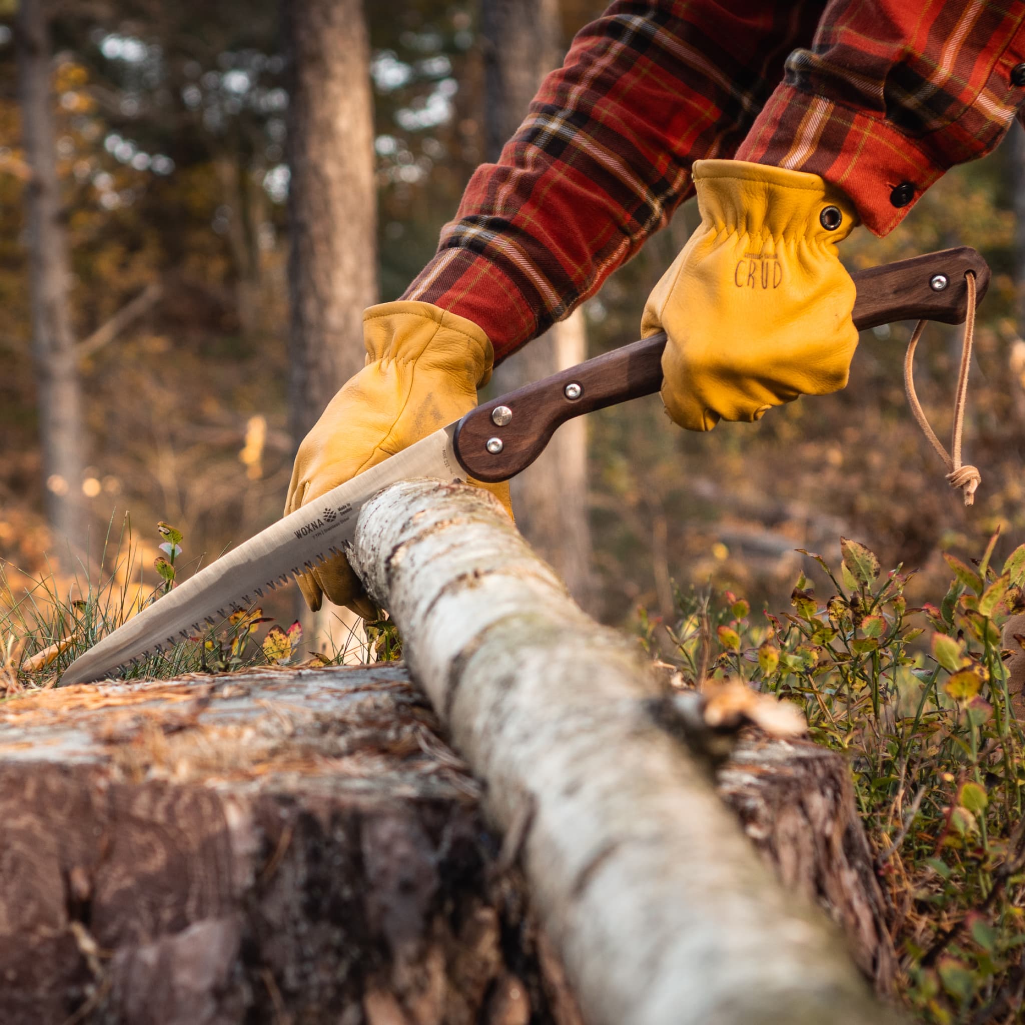 Ljusnan Klappsäge 250mm