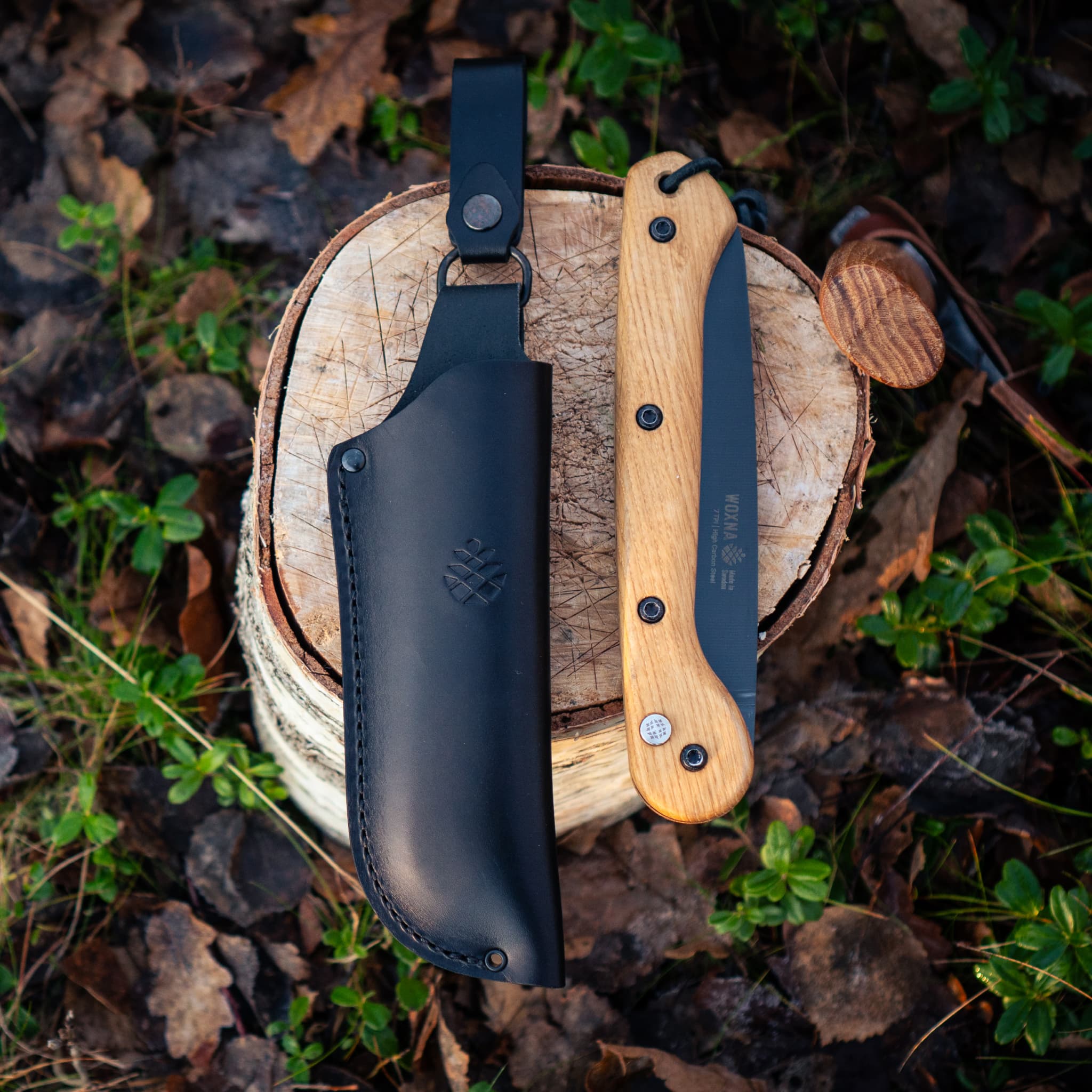 Alfta Lederscheide 180 Schwarz